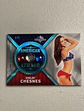 SHELBY CHESNES 1/1 2017 BENCHWARMER America the Beautiful GEMS Ice Blue Foil🔥 picture