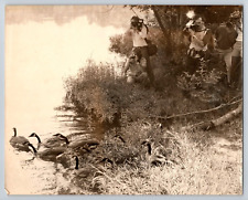 Vintage photograph B/W 8x10 photographers, geese, lake picture
