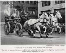 Fire Horses of Detroit Michigan - 1923 Vintage Horse Print - CUSTOM MATTED picture
