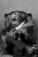 Vintage Funny Monkey Playing Guitar PHOTO Circus Chimpanzee, Freak Strange picture