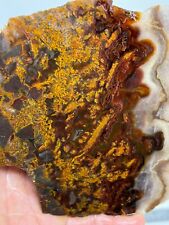 Turkish Golden Moss Agate slab Cabbing Lapidary Collecting Combo Ship Avail picture