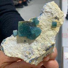 303G Rare transparent blue cubic fluorite mineral crystal sample / China picture