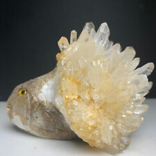 400g Natural Crystal Cluster,Specimen Stone,Hand-Carved, Exquisite Fish.Gift.VU picture