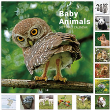 2027 Calendar - 12 Month Baby Animals Wall Calendar 2027 picture
