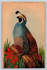 California Quail Information Equitable Life Insurance Co VINTAGE Ad Trade Card picture