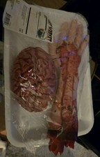 Halloween Body Parts Props, Bloody Fake Severed Arm Realistic Brain  picture