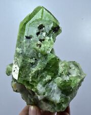 486 Gm Top Quality Terminated Diopside Huge Crystals With Mica On Matrix @afg picture