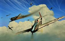 Masters of the Sky by Richard Taylor signed by eleven 352nd Fighter Group vets picture