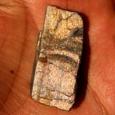 14g Natural Rainbow Fire Lattice Sunstone Raw Crystal Slice Rare Specimen Slab picture