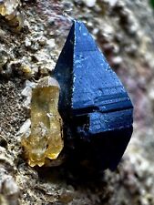 173 CT. well terminated anatase crystal on matrix @ PAK. picture