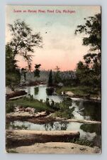 Reed City MI-Michigan, Scene On Hersey River, Vintage Postcard picture