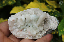 100 gm Apophyllite Minerals Specimen Indian Natural Cluster Home Decor Stone picture