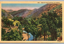 Palm Springs CA Postcard Palm Canyon California palm trees vintage linen card picture