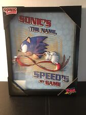 New ~ Sonic the Hedgehog Pop Creations Framed Picture 11X14” picture