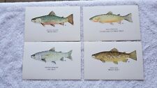 LOT OF FOUR POSTCARDS OF TROUT TAKEN FROM TROUT AMANAC'87: G+ picture