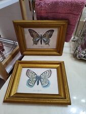 vintage butterfly pictures picture