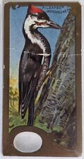 1920s E226 Lowney's Chocolate Cocoa Bird Series Pileated Woodpecker picture