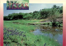 Texas Hill Country, South Texas, Dick Dietrich, Smith-Southwestern postcard picture