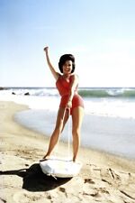 Annette Funicello full length in bathing suit on surfboard 8x10 inch Photo picture