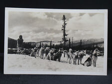 Siberian Sled Dogs RPPC Postcard Approved By Theater Censor UNPOSTED picture