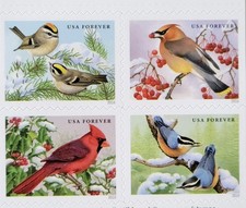 🐦  SHEET OF 20 FIRST CLASS LETTER "SONGBIRDS IN SNOW" picture