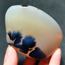 TOP 116 G Natural Polished Aquatic Plants Agate Crystal Madagascar WYY386 picture