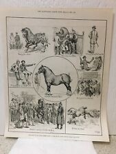 THE ILLUSTRATED LONDON NEWS - March 1886 - Sketches At The Horse Show Islington picture