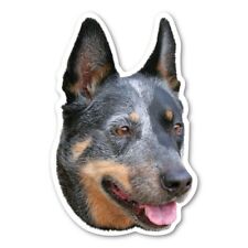 Australian Cattle Dog Magnet picture
