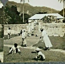 C.1910s Cocoa Farming. Child Labor. Caribbean Island. Dominica. Chocolate. VTG picture