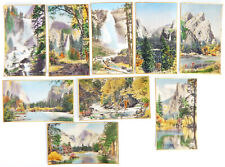 COLLECTION OF 9 HAND TINTED 1911 YOSEMITE LINEN CARDS FREDERICK W MARTIN 4 1/2