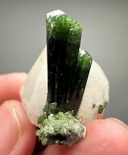 44 Ct. Full Terminated Top Quality Lustrous Green Cap Tourmaline Crystals, Mtrx picture