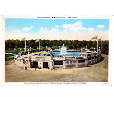 Vtg Postcard White Border Springbrook Swimming Pool Lima Ohio 1927 picture