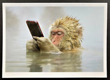 1 Monkey Texting Christmas Holiday Card ONE 7x5 Funny Photo Cell Phone New Year picture