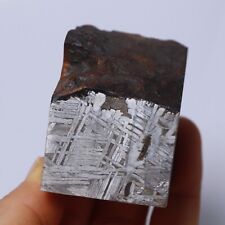 451g Natural Muonionalusta,meteorite piece ,Ring material,collection,gift B2999 picture