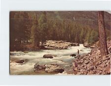 Postcard McDonald Creek Glacier National Park Montana USA picture