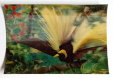 Bird of Paradise New Guinea Lenticular Postcard 3D Toppan Japan Novelty UNP picture