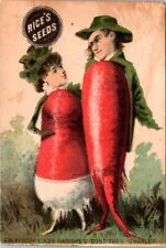 Rice's Seeds Anthropomorphic Radishes Vegetable People Radish Charley HPV1 picture