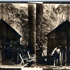 c1910s RARE Stereo Lumberjack Cabin RPPC Man Saw Forestry Occupational Saw A124 picture