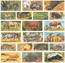 Brooke Bond Tea African Wild Life x 32 Cards In Very Good Condition picture