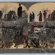 1903 Petrified Forest Arizona Man on Famous Log Bridge Real Photo Stereoview V45 picture