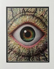 Vintage Eyeball Art Hi-Fructose Magazine Advertisement Classic Framed 11x14in. picture