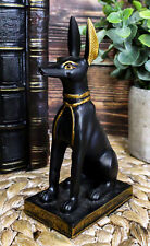 Sitting Ancient Egyptian God Anubis Jackal Dog Figurine 5