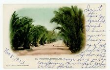 1903 Palm Drive Riverside California Postcard Ca picture