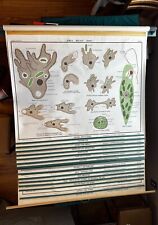 A.J. Nystrom & Co. Jurica Biology Series Zoology Charts Set of 16 (1 missing) picture
