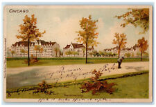 1905 The University Chicago Illinois IL Chicago Series Tuck Art Antique Postcard picture