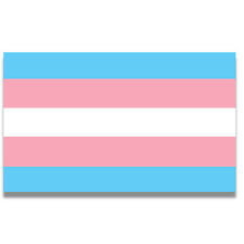 Transgender Pride Flag Car Magnet Decal, 5x8 Inches, Pink, Blue, and White picture