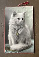 Rare antique 1920s googly eyed cat RPPC postcard greeting card picture