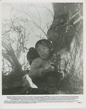 Oliver Robins in Poltergeist Hollywood Film Star Boy Original Photo A2649 A26 picture