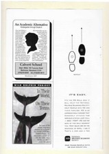 National Multiple Sclerosis Society, Calvert School & Wild Dolphin Project Ads picture