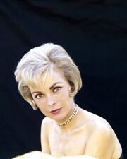 Janet Leigh looking very glamorous circa 1960 8x10 inch photo picture